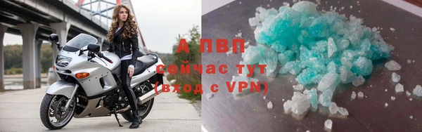 молекула духа Белокуриха